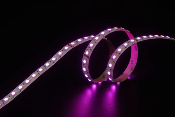 5050+2835 168leds/m RGBW 24V 12MM